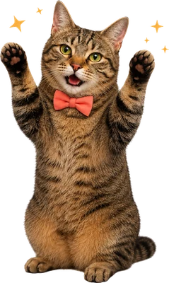 Avatar de Mika, le chat professeur de MikaMike